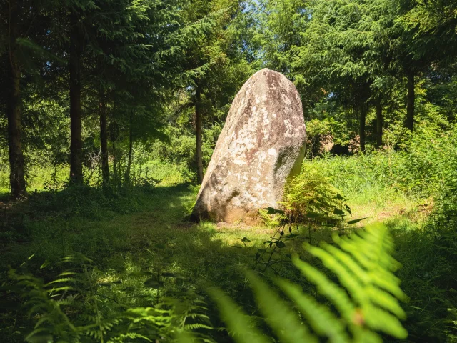 Menhir de Kerhuel à Saint-Evarzec