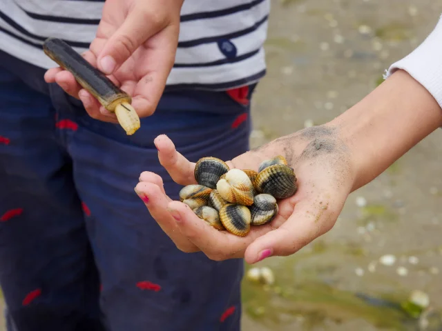 Fishing on the Breton Riviera
