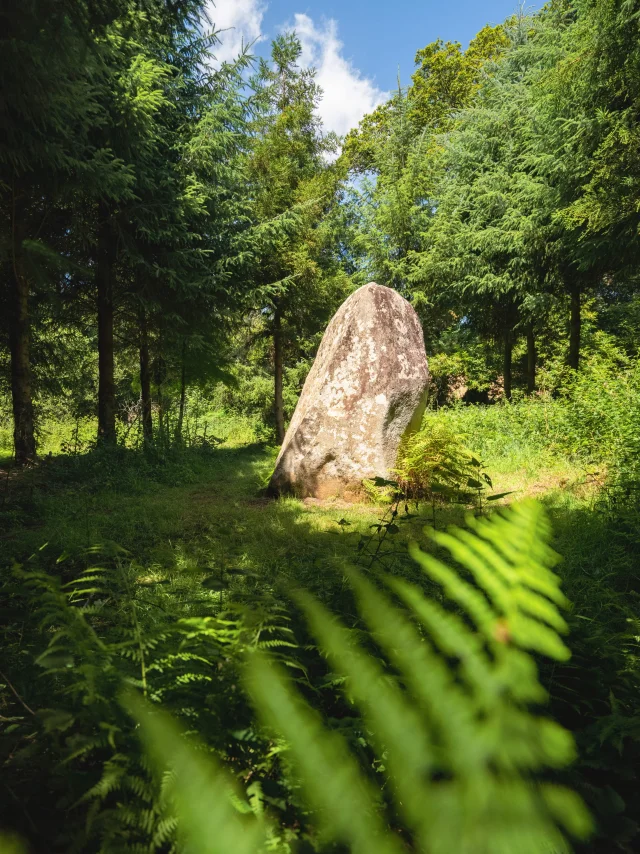 Menhir de Kerhuel à Saint-Evarzec
