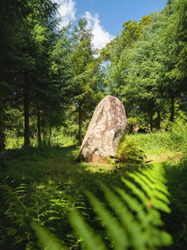 Menhir de Kerhuel à Saint-Evarzec