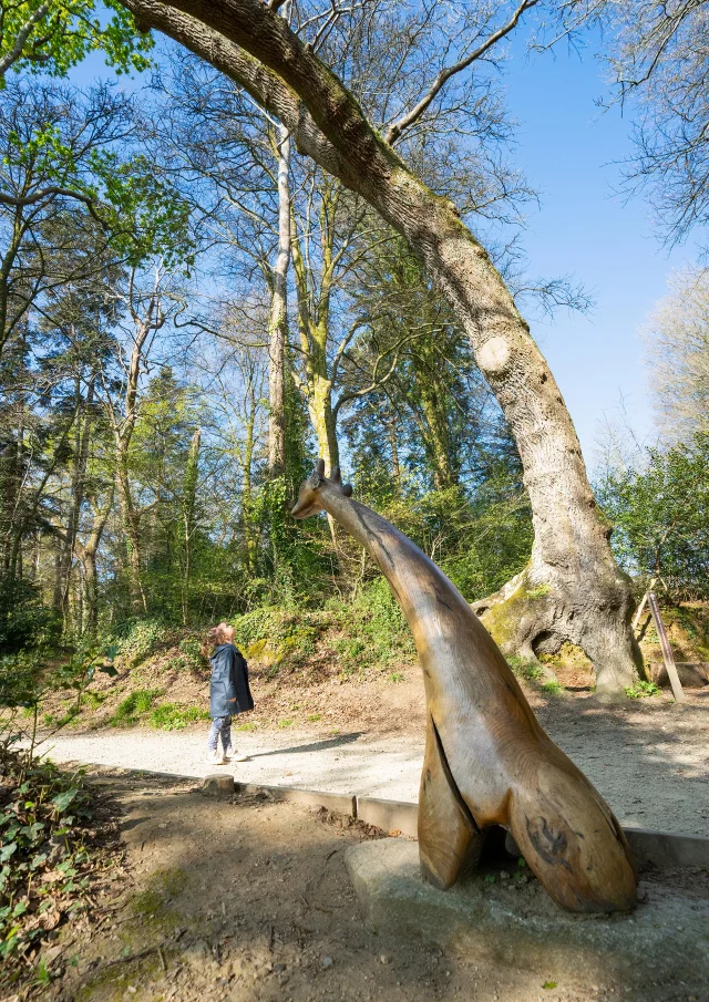 Le Bois de Penfoulic avec l'arbre girafe à Fouesnant