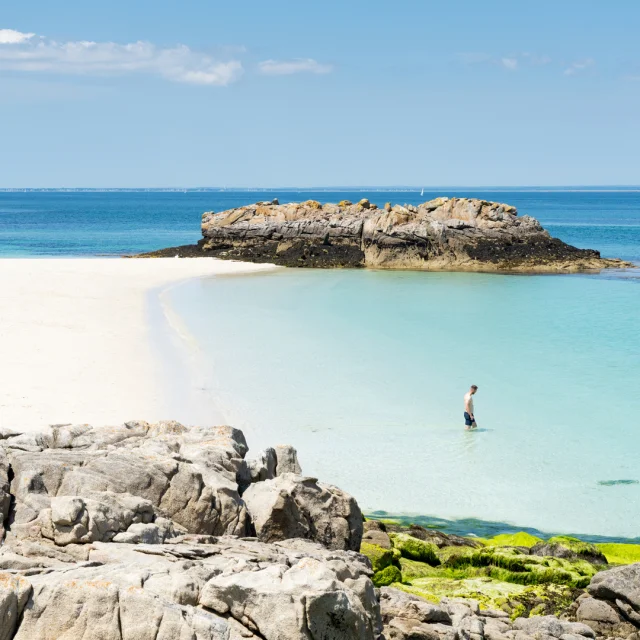 Archipel des Glénan, Ile Saint Nicolas, Fouesnant