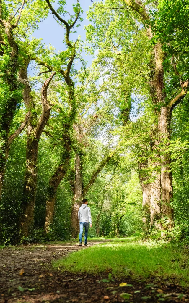 69 La Riviera Bretonne Septembre 2024 Hd