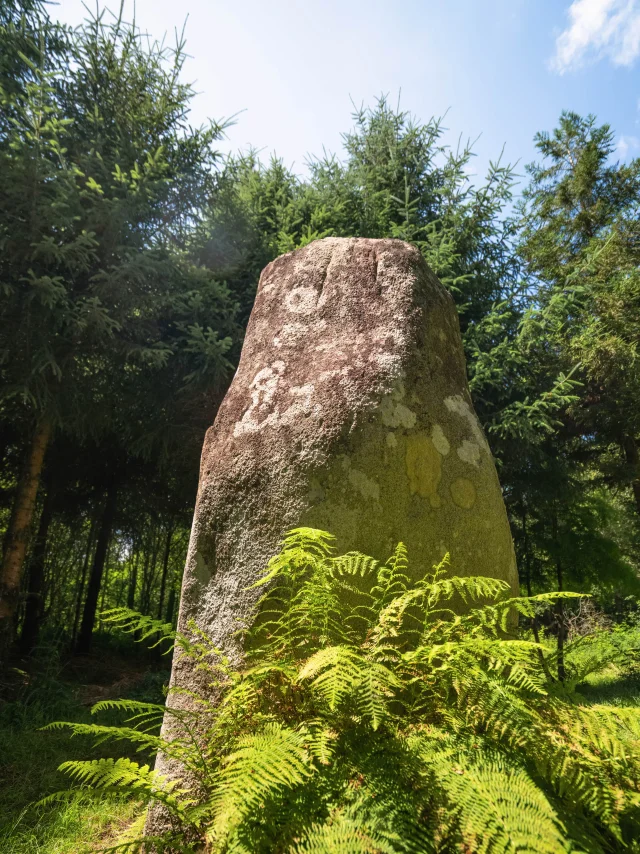 Menhir de Kerhuel à Saint-Evarzec
