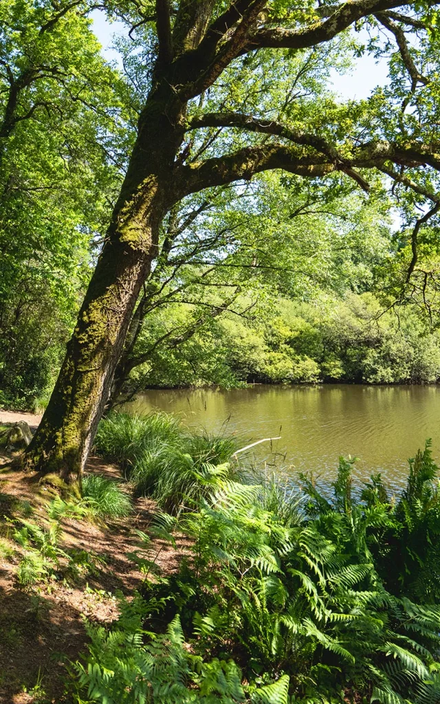 70 Saint Evarzec Pleuven Clohars Fouesnant Aout 23 Hd