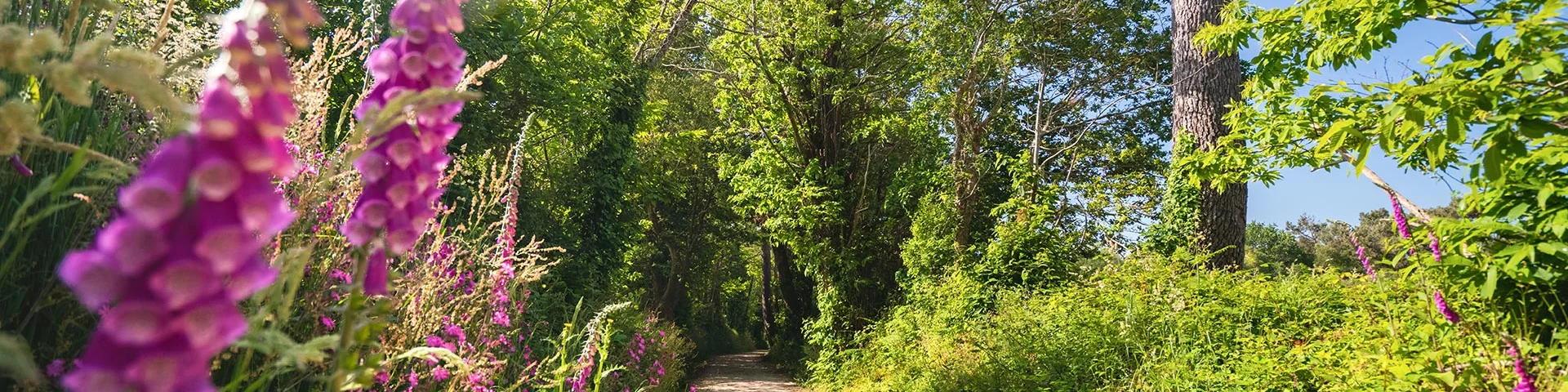 Allee Du Dourmeur à Saint-Evarzec