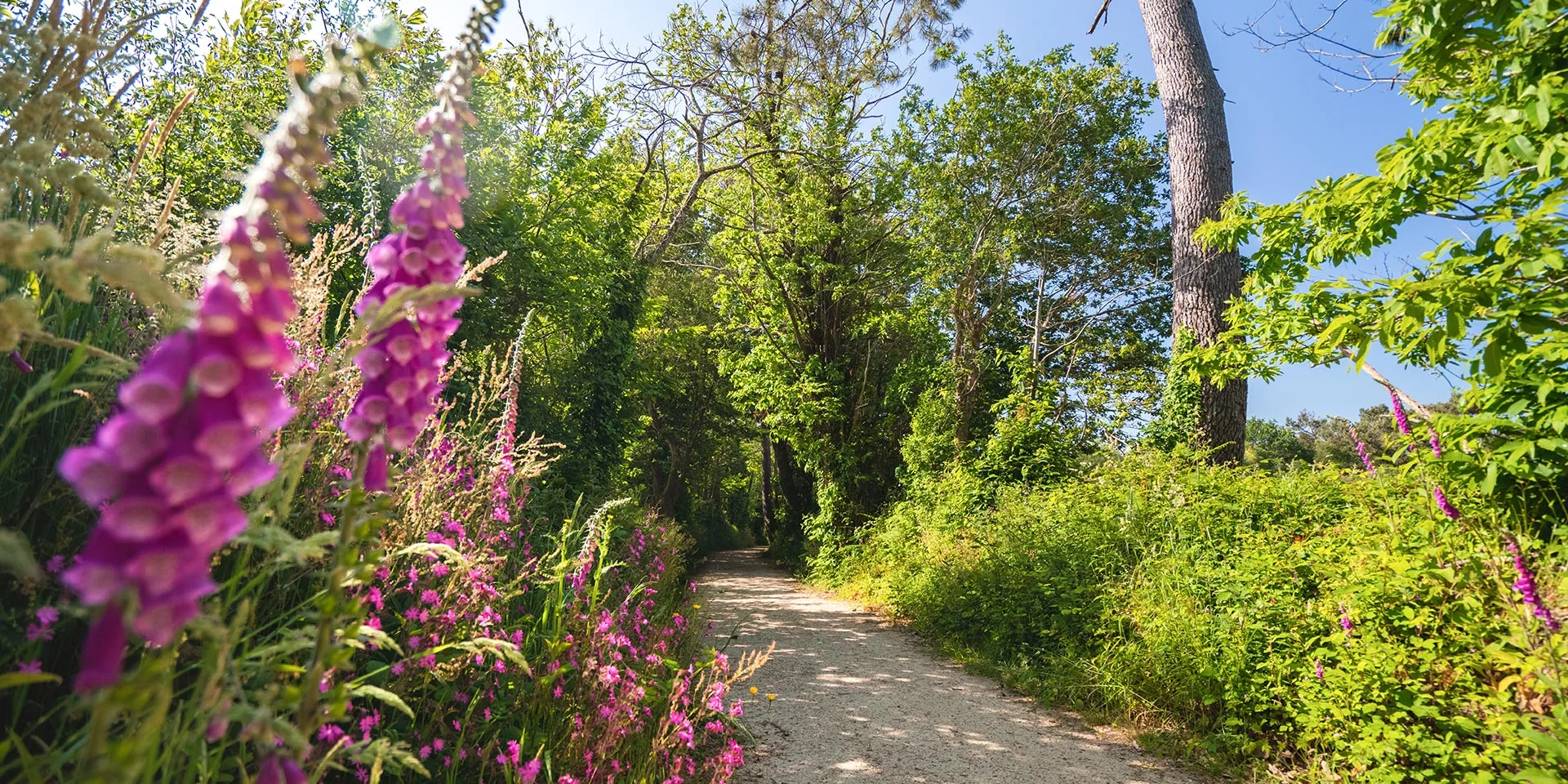 Allee Du Dourmeur à Saint-Evarzec