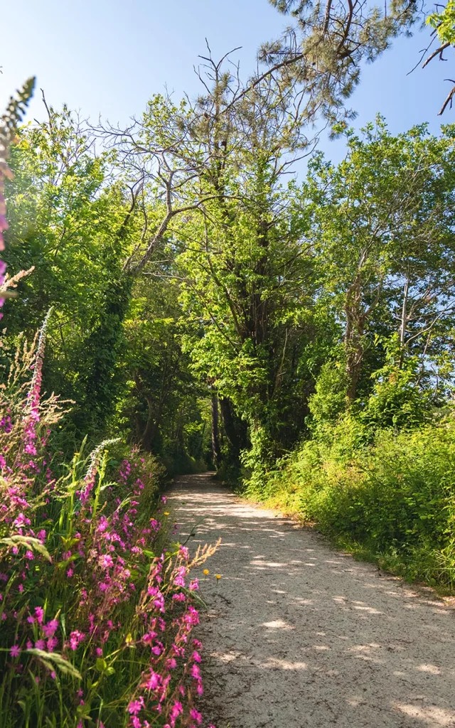 Allee Du Dourmeur à Saint-Evarzec