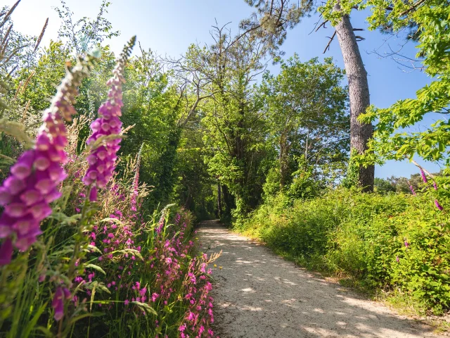 Allee Du Dourmeur à Saint-Evarzec