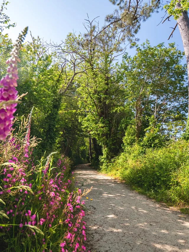 Allee Du Dourmeur, Saint-Evarzec
