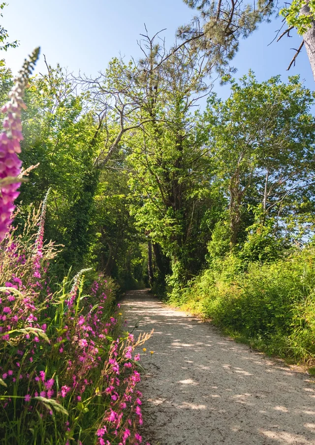 Allee Du Dourmeur in Saint-Evarzec