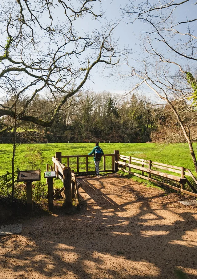 Balade Dans Le Bois De Penfoulic A Fouesnant