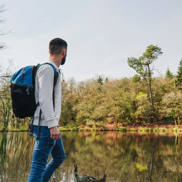 Spaziergang Im Wald Du Moustoir In Saint Evarzec