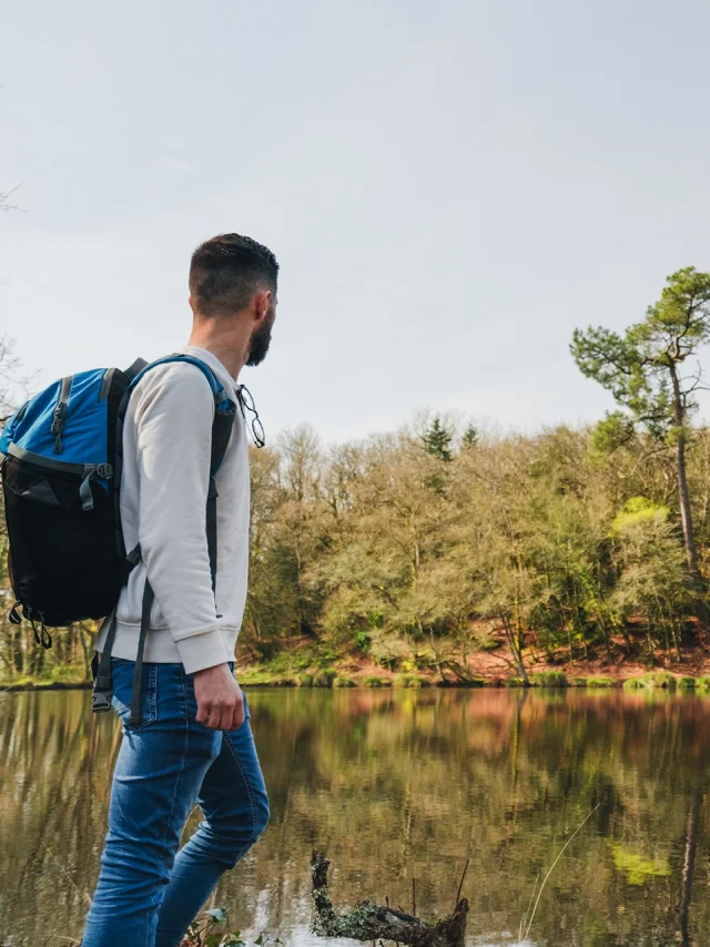 Balade Dans Le Bois Du Moustoir A Saint Evarzec