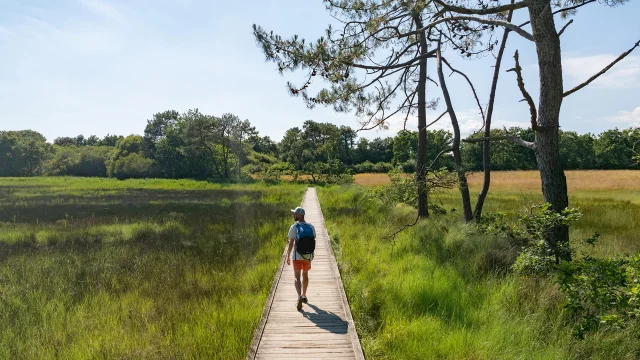 Spaziergang Auf Der Lanse-Platte Von Der Kleinen Mühle Bis Benodet