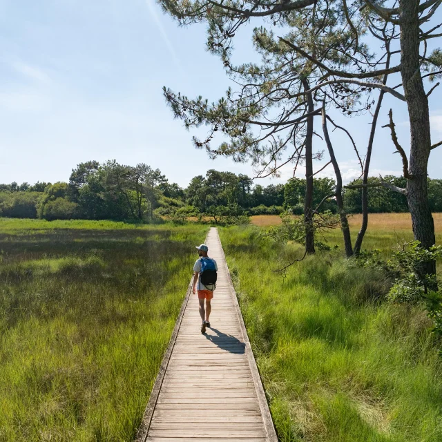 Spaziergang Auf Der Lanse-Platte Von Der Kleinen Mühle Bis Benodet