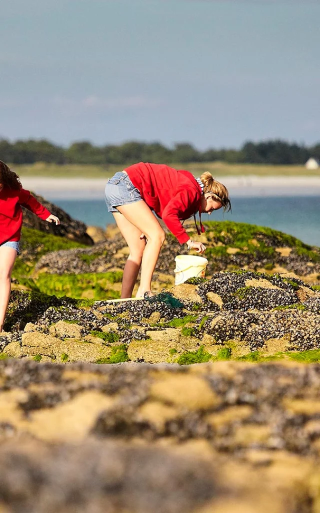 Pêche à pied au Cap-Coz à Fouesnant