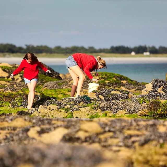 Foot fishing at Cap-Coz in Fouesnant