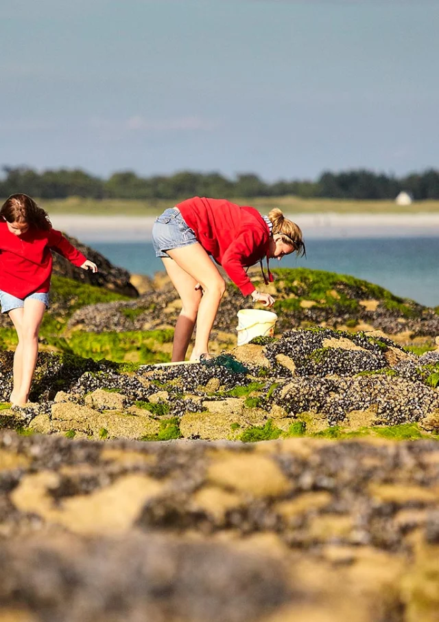 Pêche à pied au Cap-Coz à Fouesnant