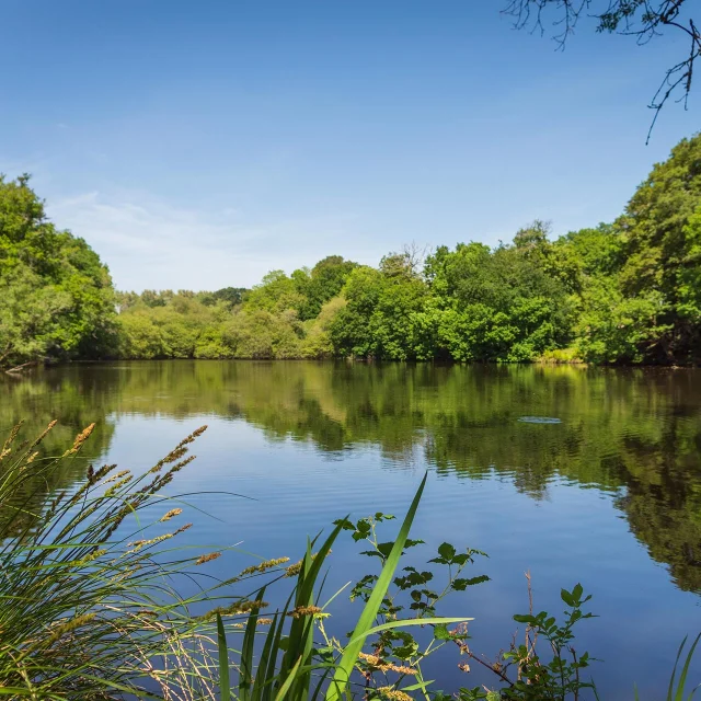 Marais De Mousterlin A Fouesnant
