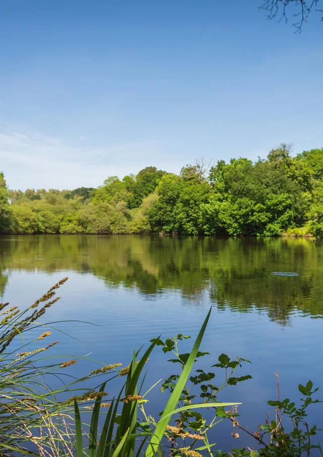 Marais De Mousterlin A Fouesnant