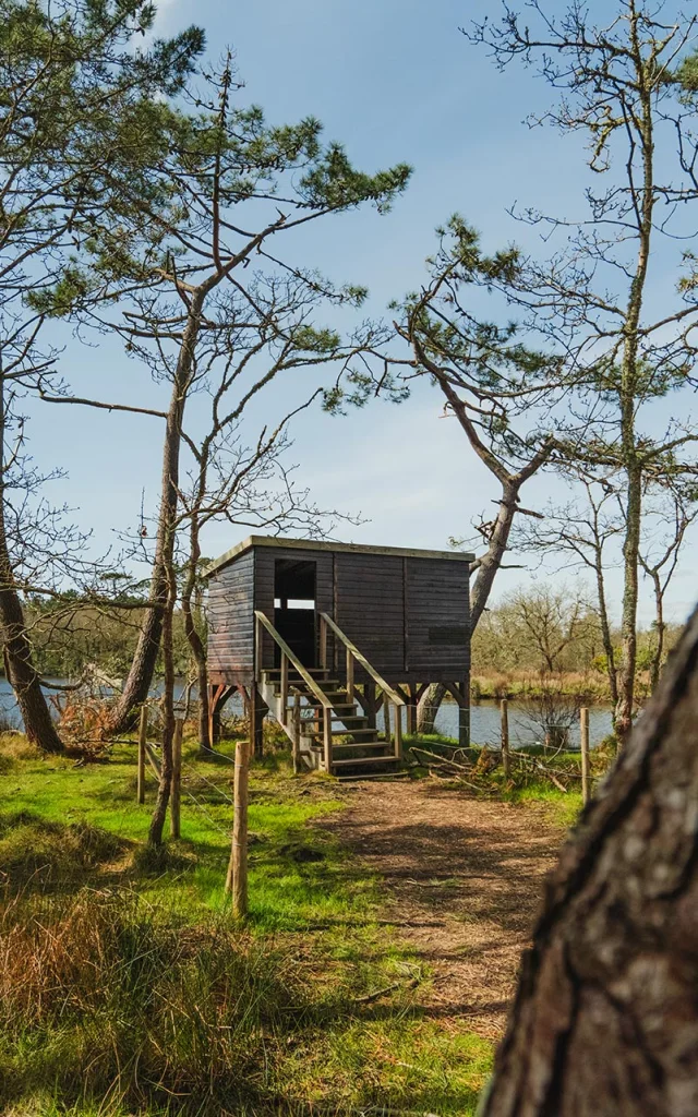 Observatoire A Oiseaux Dans Le Marais De Mousterlin A Fouesnant 1