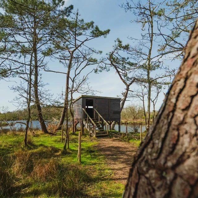 Vogelbeobachtung im Marais de Mousterlin in Fouesnant 1