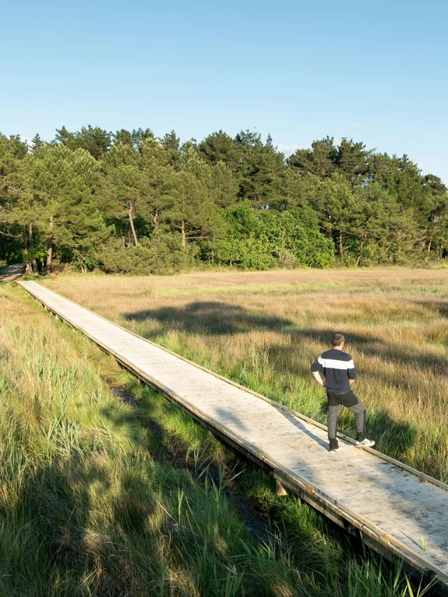 Platelage A Lanse Du Petit Moulin A Benodet 1