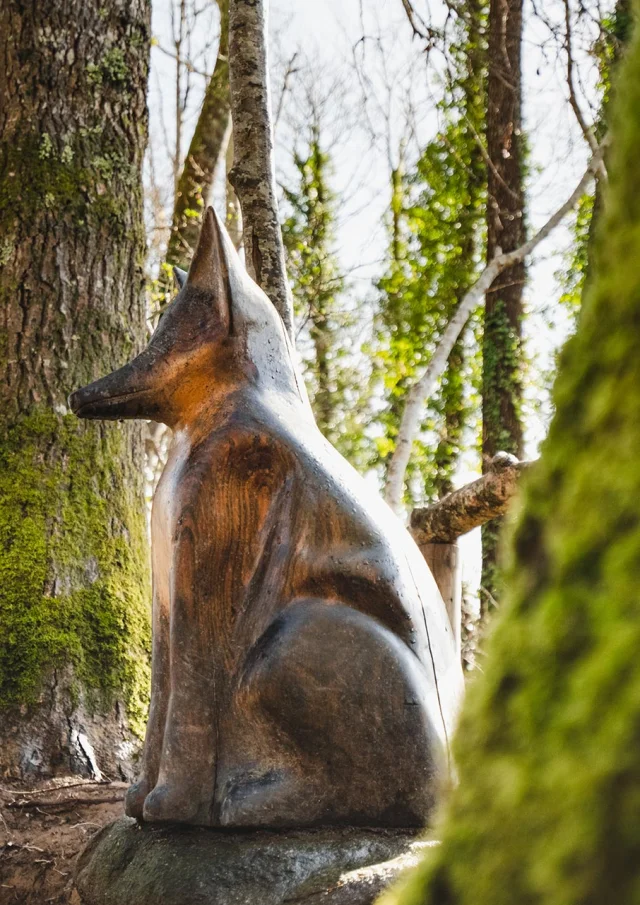 Sculpture En Bois Dun Renard Dans Le Bois De Penfoulic 1