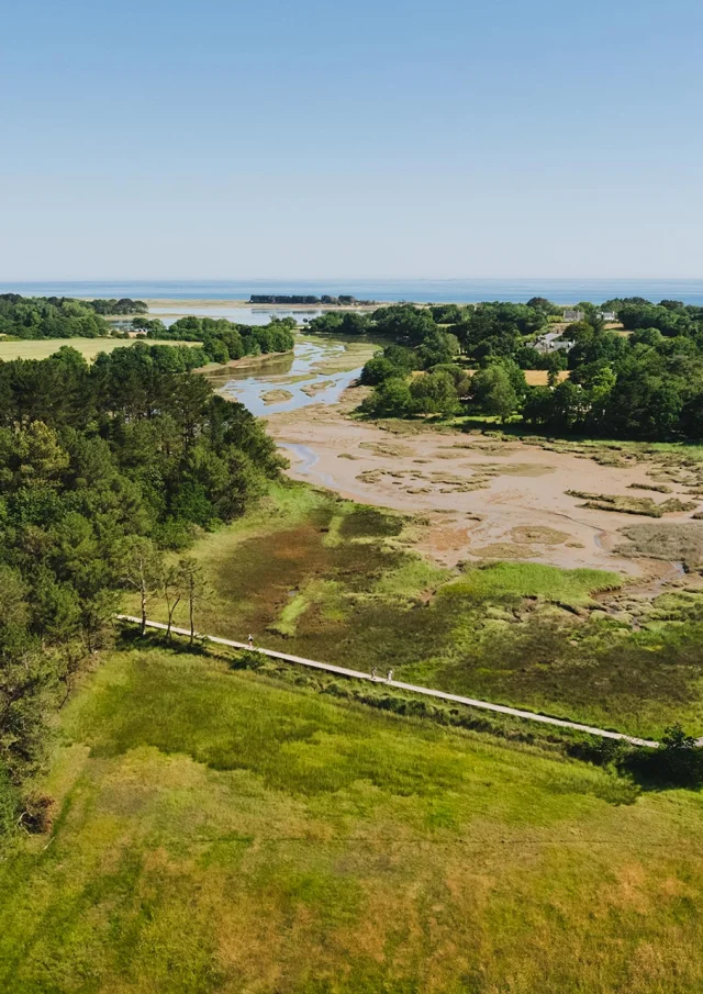 Aerial view of Anse du Petit Moulin