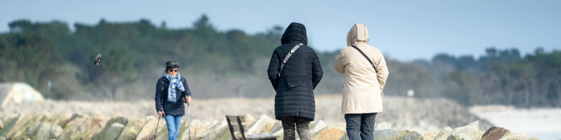 2025 0128 Bretagne Finistere Fouesnant Mousterlin Dsc04447 Rle2