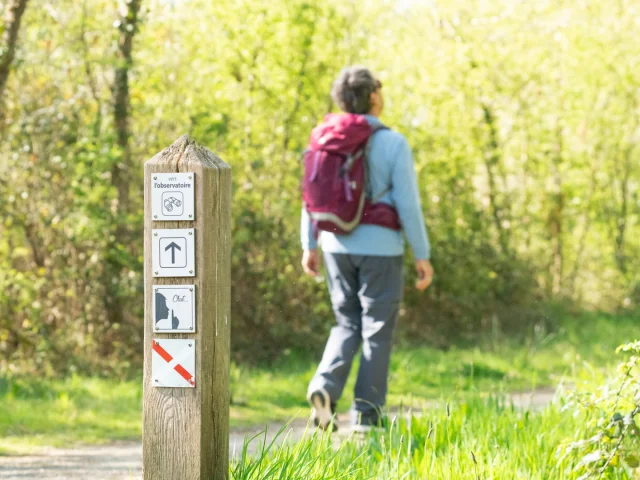Balade pédestre en Riviera Bretonne
