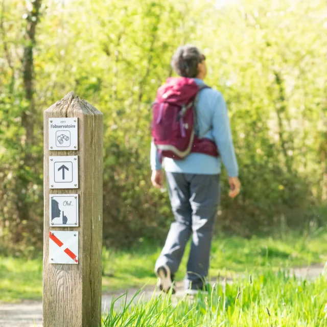 Balade pédestre en Riviera Bretonne