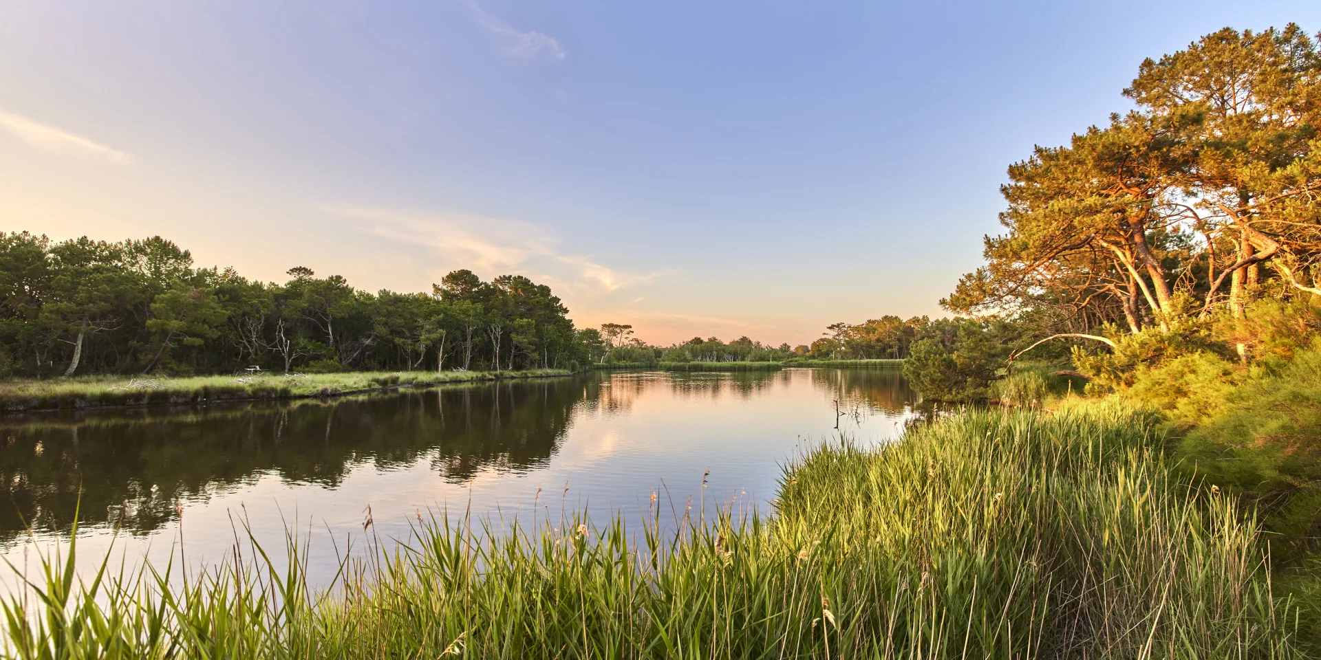 Polder de Mousterlin