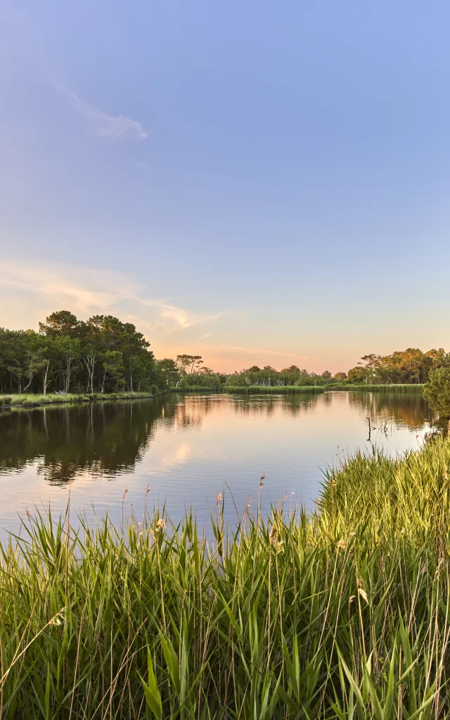 Polder de Mousterlin