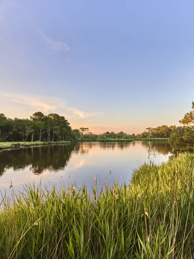 Polder de Mousterlin