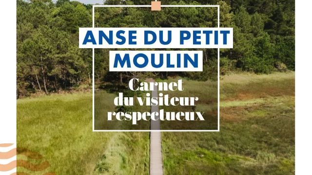 Couverture Carnet Du Visiteur Respectueux Anse Du Petit Moulin