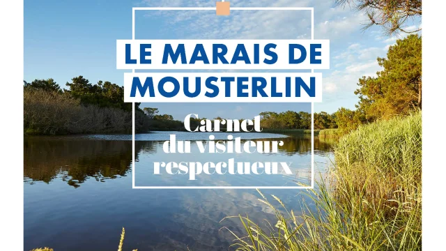 Couverture Carnet Du Visiteur Respectueux Mousterlin