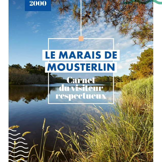 Couverture Carnet Du Visiteur Respectueux Mousterlin