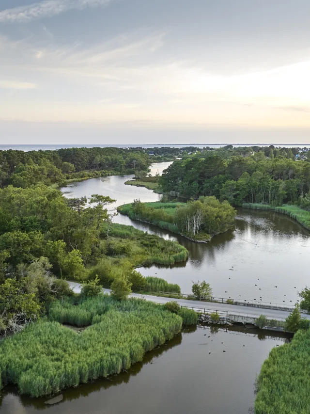 Marais de Mousterlin