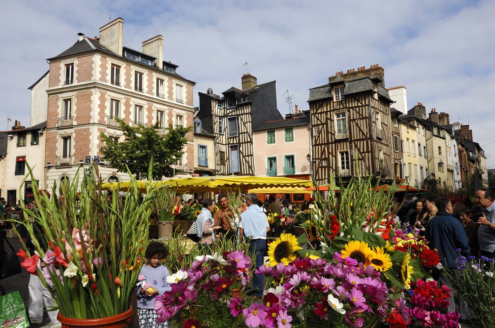 La ville de Rennes et son marché aux fleurs