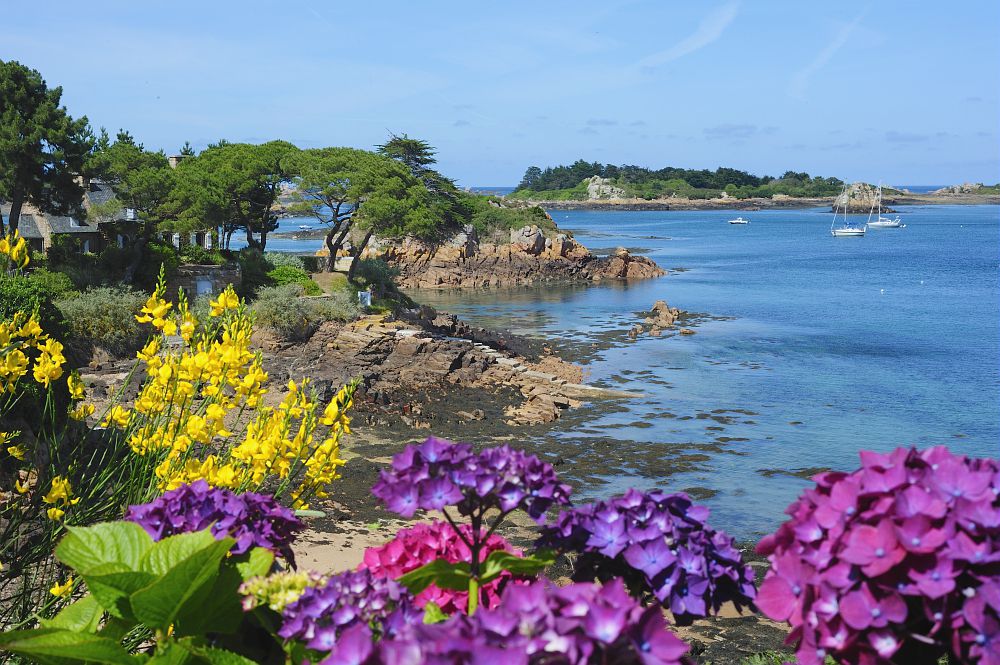 L'île de Bréhat