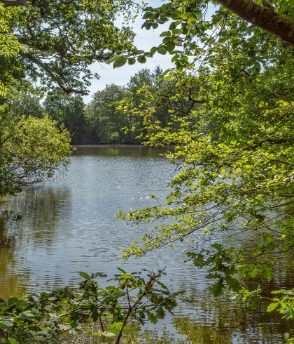 Etang de Kergoat Pleuven