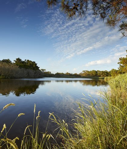 Marais de Mousterlin