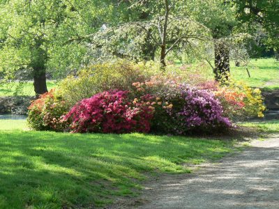 Promenade botanique à Pors Garo