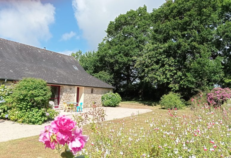 Jardin, terrasse