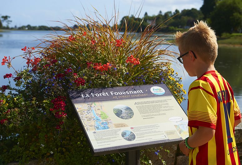 Parcours d’interprétation – anse de la Forêt