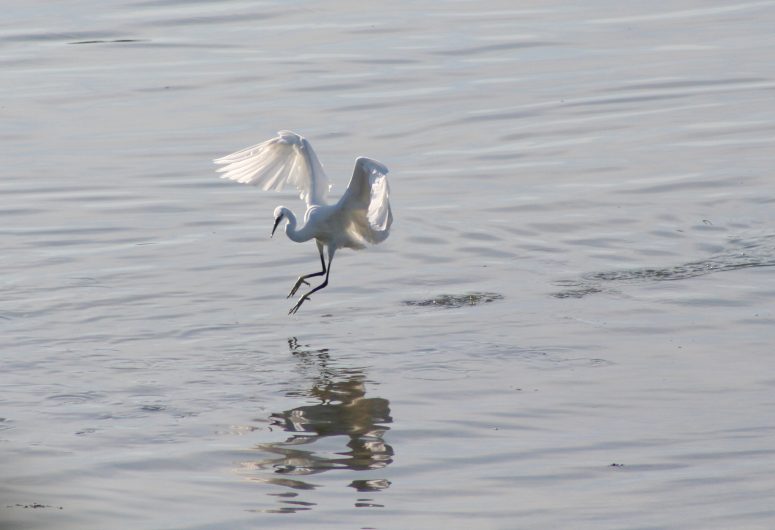 Boucle de la Baie