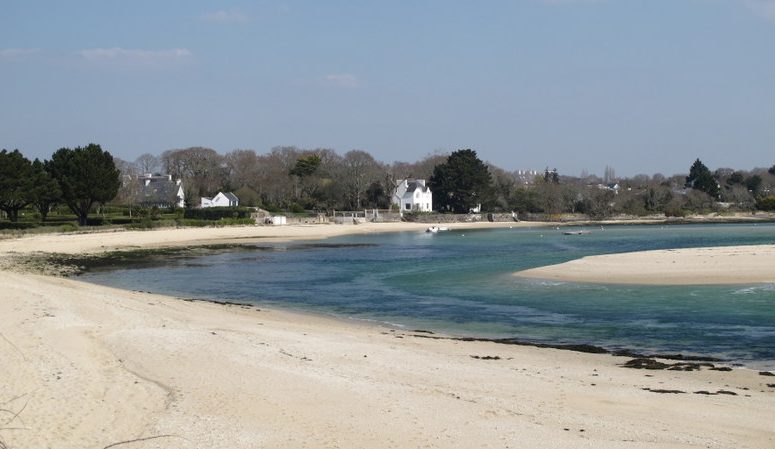 Dune Le Letty La Mer Blanche 2013