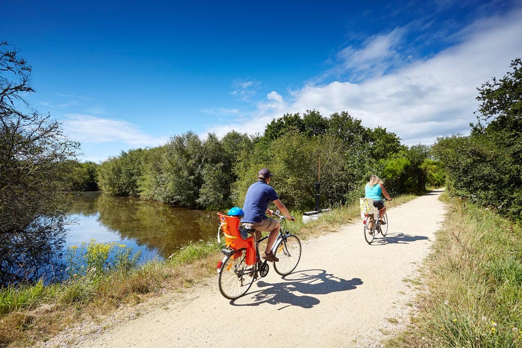 Marais de Mousterlin